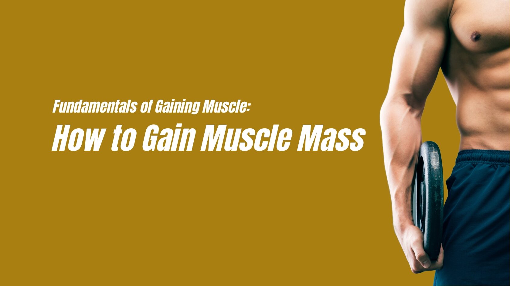 Gain muscle mass Building muscle Muscle growth Protein intake Progressive resistance training Muscle recovery Muscle-building nutrition